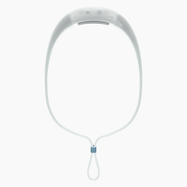 Bandicoot Run 250 Headlamp - Blue