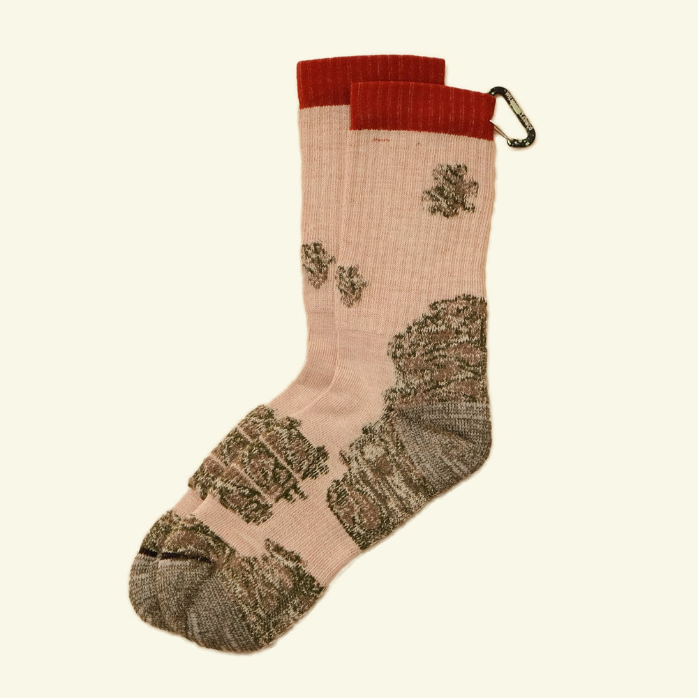 Lichen Sock - v16