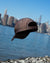 media.preview_image.alt